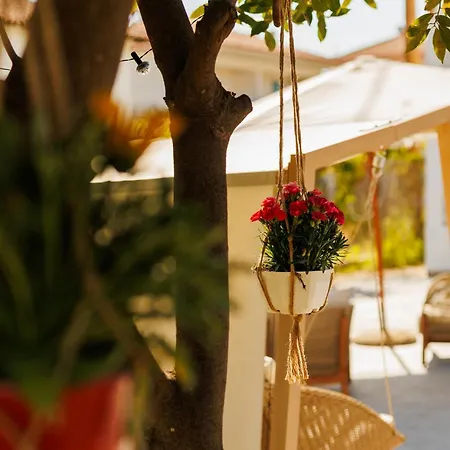 Apartmanhotel Pine In The Sea Ii Boutique Apartment-nikiti Nikíti